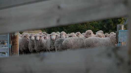 Fenntarthatóság és jövőkép