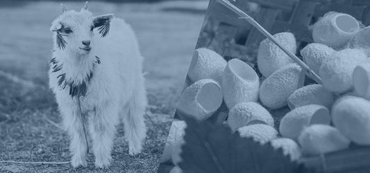 Kasmír és Selyem – A kifinomult luxus kombinációja