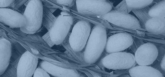 Gran Sasso Selyem – Az Olasz Különlegesség Lényege